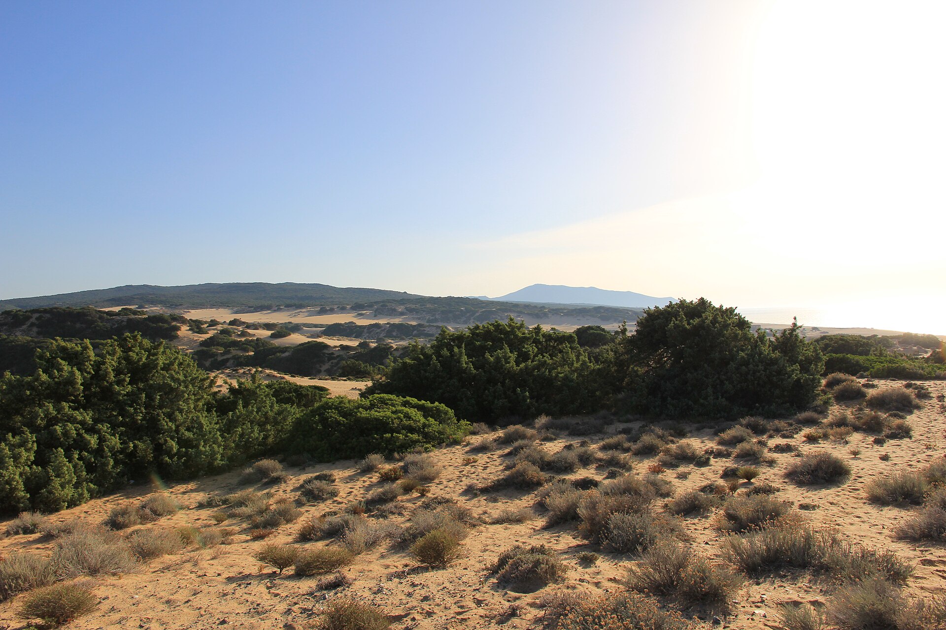 The Piscinas dunes — the highest in Europe.