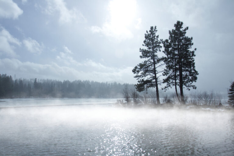 Misty water at dawn evoking the fluid, timeless quality of the flow state