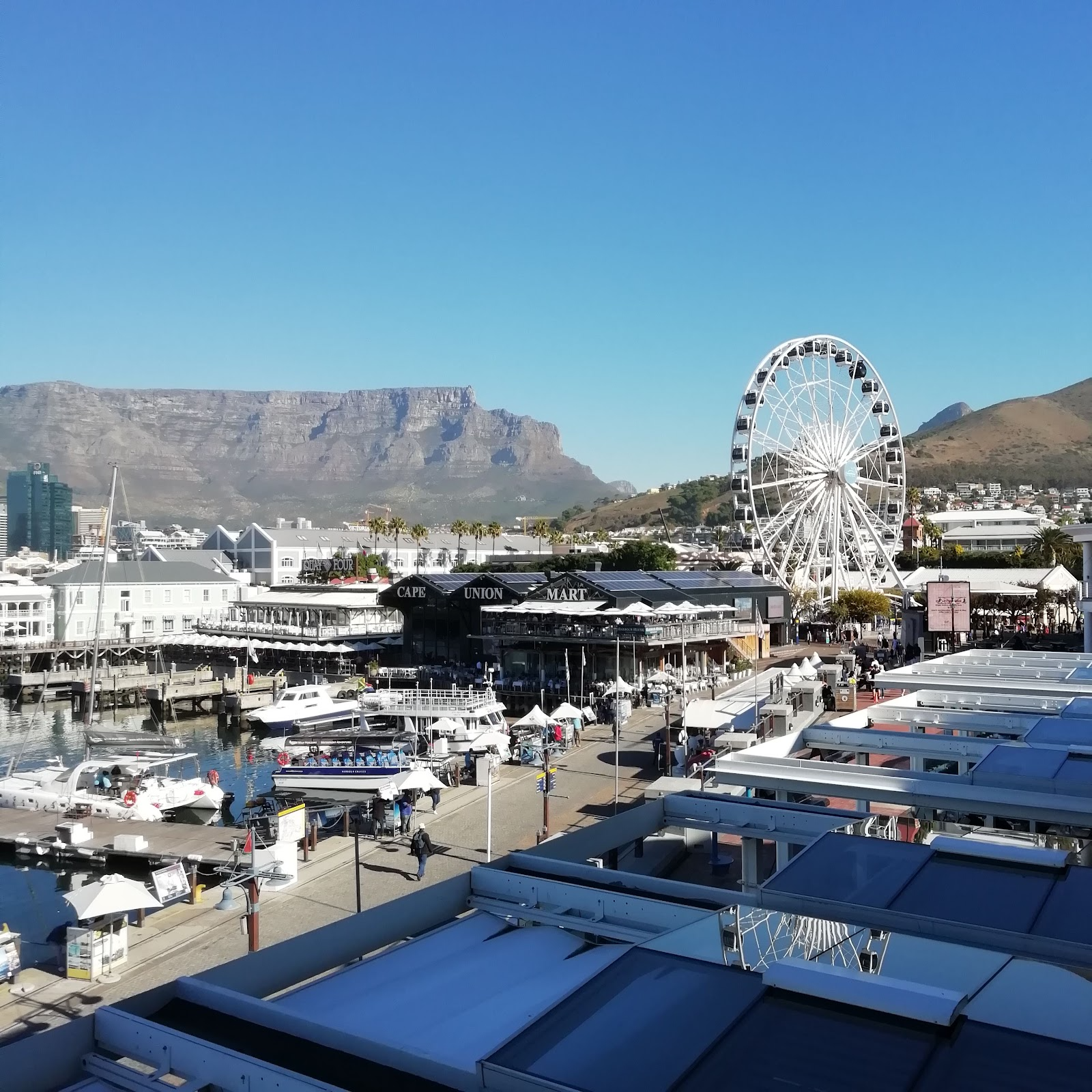 Table Mountain and the Cape Wheel seen over the V&A Waterfront marina, Cape Town